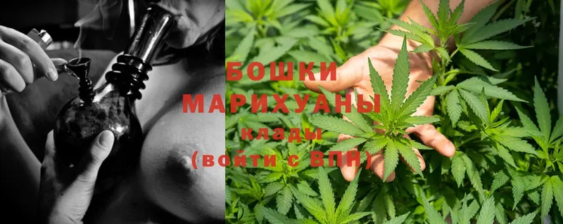 Марихуана SATIVA & INDICA  Буинск 